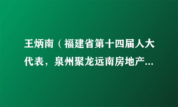 王炳南（福建省第十四届人大代表，泉州聚龙远南房地产有限公司董事长）