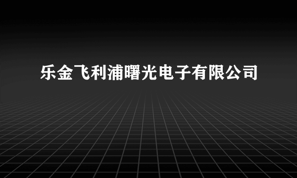 乐金飞利浦曙光电子有限公司