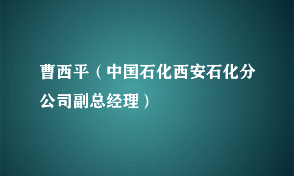 曹西平（中国石化西安石化分公司副总经理）