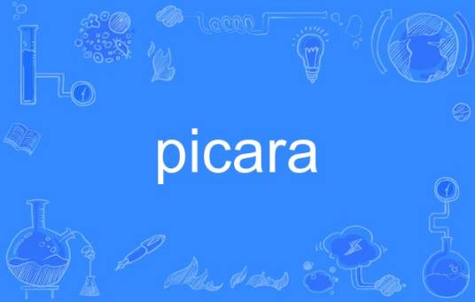 picara