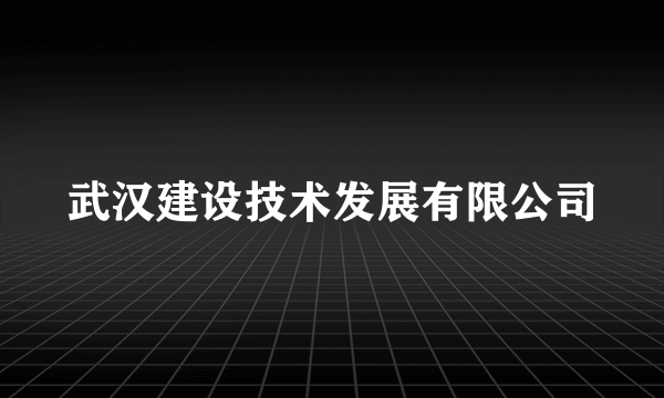 武汉建设技术发展有限公司