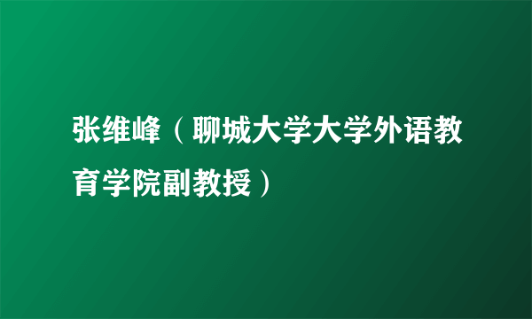 张维峰（聊城大学大学外语教育学院副教授）