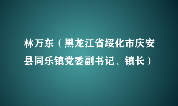 林万东（黑龙江省绥化市庆安县同乐镇党委副书记、镇长）