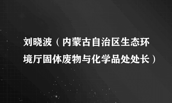 刘晓波（内蒙古自治区生态环境厅固体废物与化学品处处长）