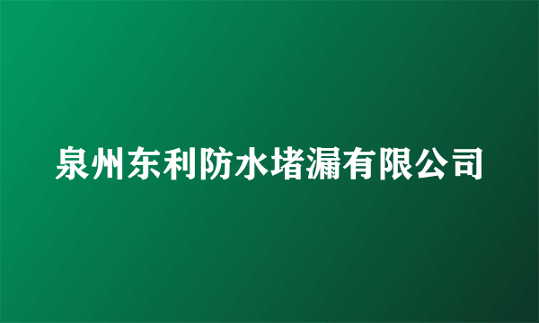 泉州东利防水堵漏有限公司