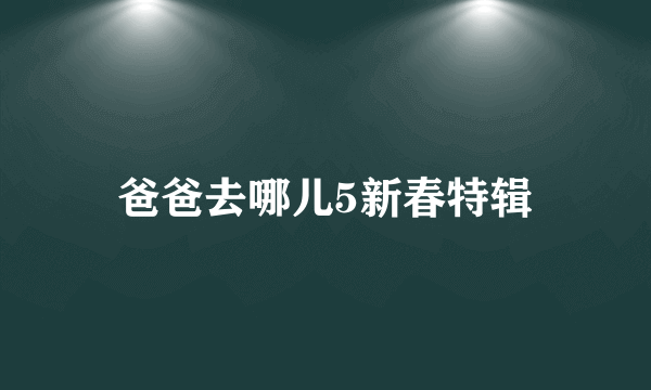 爸爸去哪儿5新春特辑