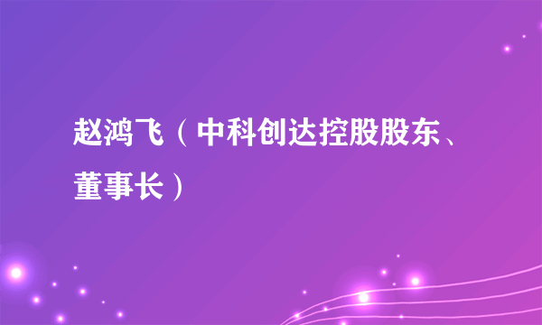 赵鸿飞（中科创达控股股东、董事长）