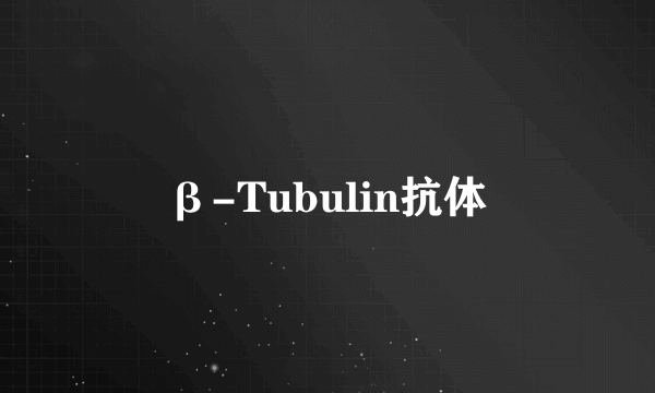 β-Tubulin抗体