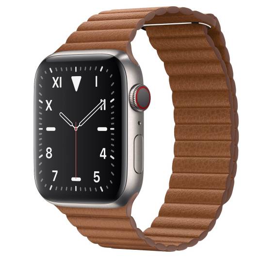 Apple Watch Edition