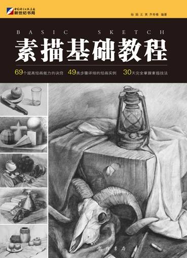 素描基础教程（2011年科学出版社出版的图书）