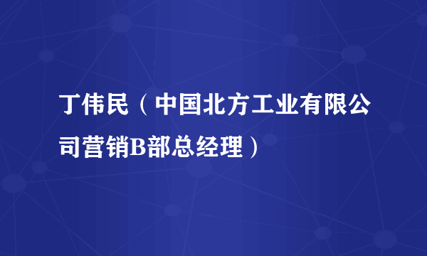 丁伟民（中国北方工业有限公司营销B部总经理）