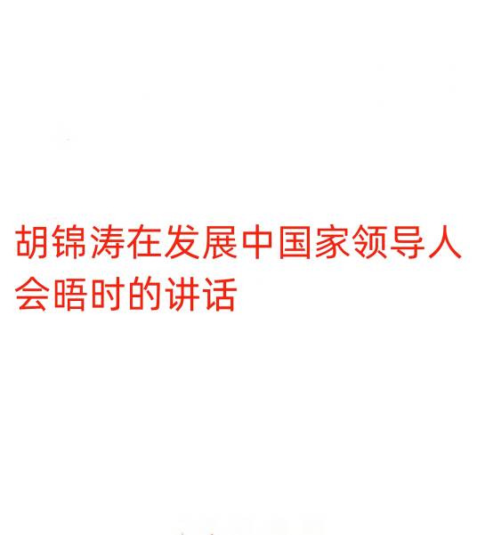 胡锦涛在发展中国家领导人会晤时的讲话