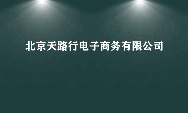 北京天路行电子商务有限公司