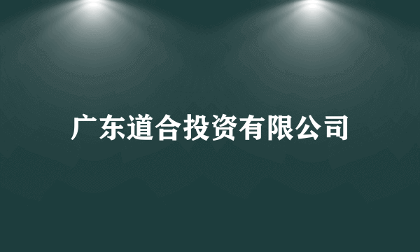 广东道合投资有限公司