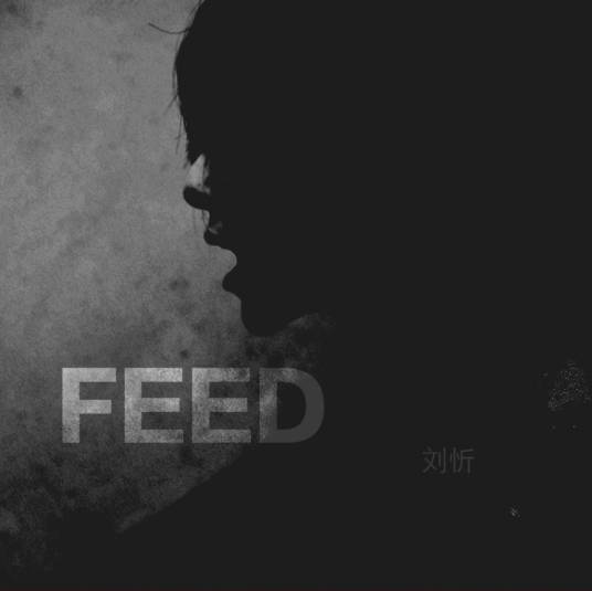 Feed（刘忻演唱歌曲）