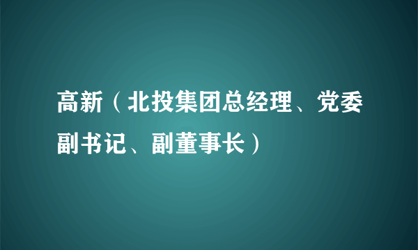 高新（北投集团总经理、党委副书记、副董事长）