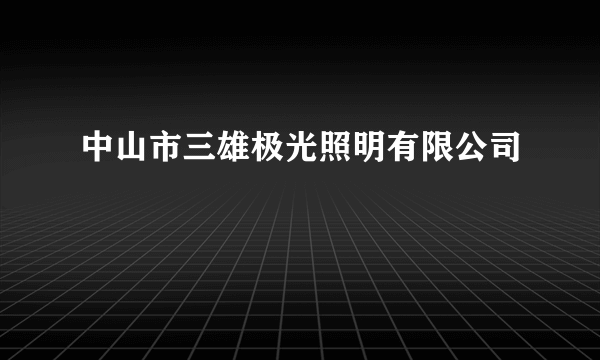 中山市三雄极光照明有限公司