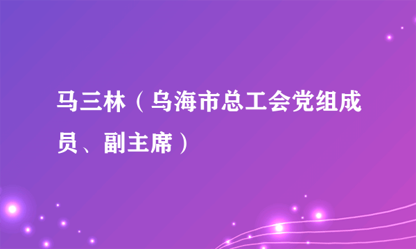 马三林（乌海市总工会党组成员、副主席）