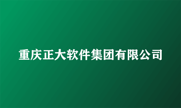 重庆正大软件集团有限公司