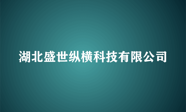 湖北盛世纵横科技有限公司