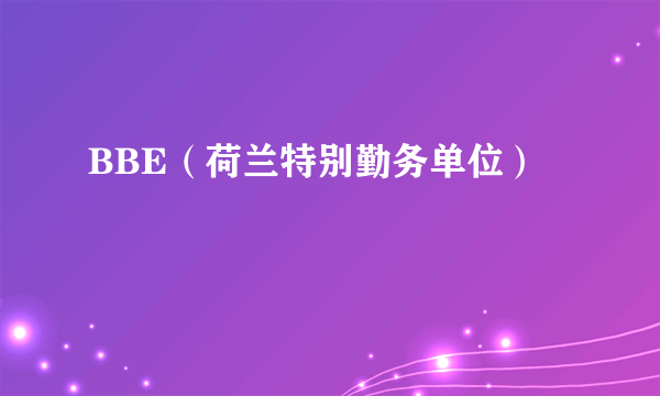 BBE（荷兰特别勤务单位）