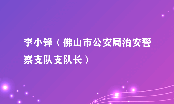 李小锋（佛山市公安局治安警察支队支队长）