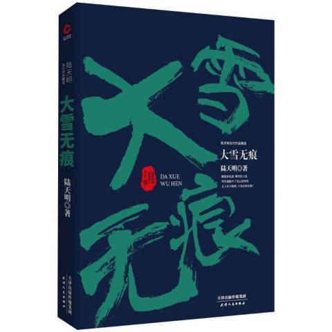 大雪无痕（2018年天津人民出版社出版的图书）