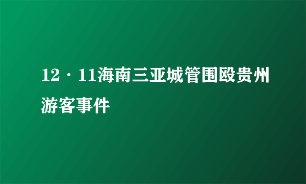 12·11海南三亚城管围殴贵州游客事件