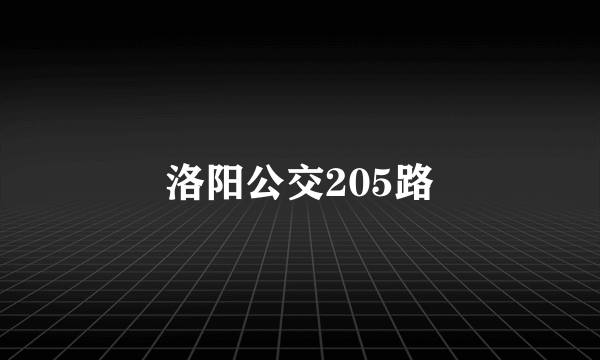 洛阳公交205路