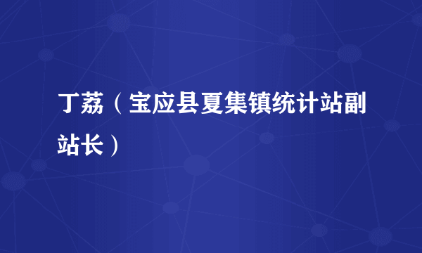 丁荔（宝应县夏集镇统计站副站长）