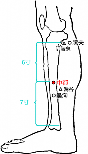 中都（经穴名）