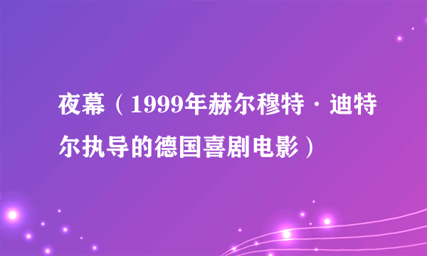 夜幕（1999年赫尔穆特·迪特尔执导的德国喜剧电影）