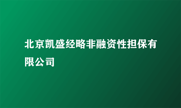 北京凯盛经略非融资性担保有限公司