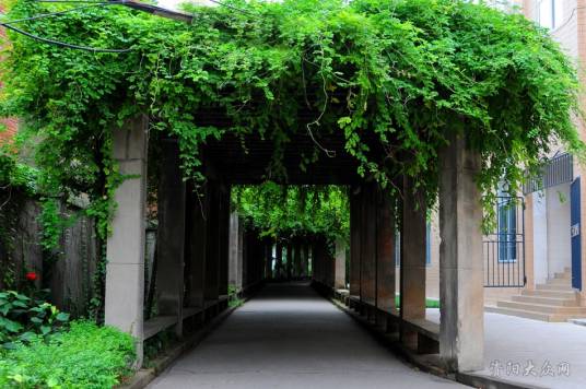 四川省资阳师范学校