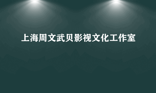 上海周文武贝影视文化工作室