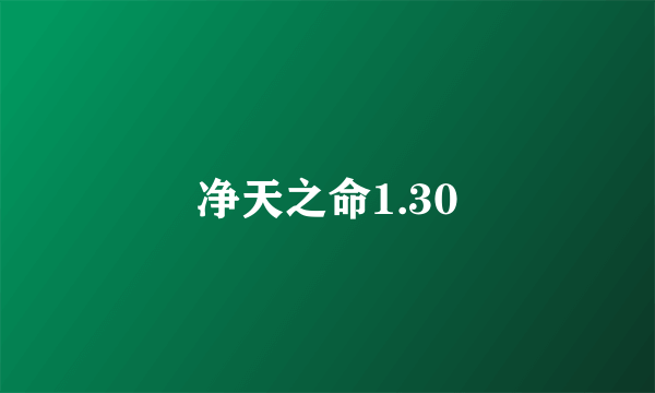 净天之命1.30