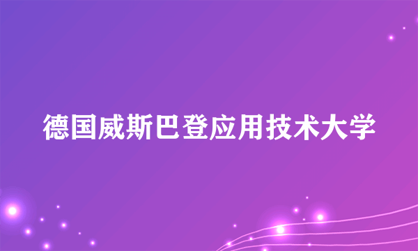 德国威斯巴登应用技术大学