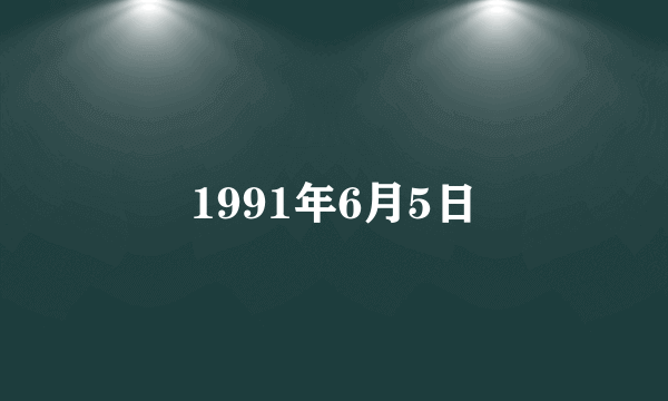 1991年6月5日