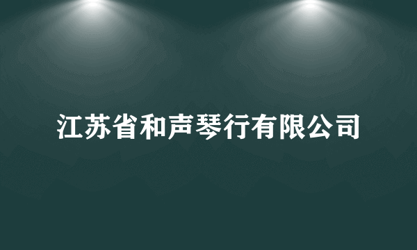 江苏省和声琴行有限公司