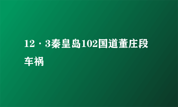 12·3秦皇岛102国道董庄段车祸