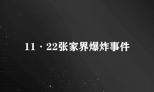 11·22张家界爆炸事件