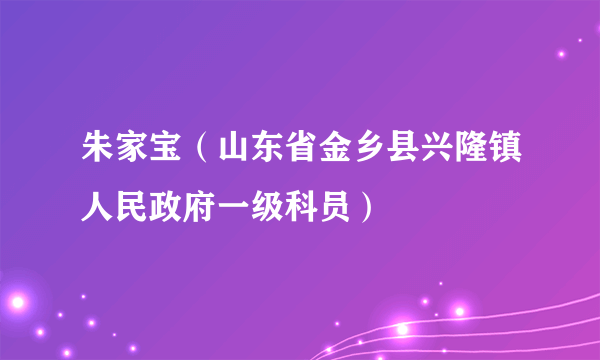 朱家宝（山东省金乡县兴隆镇人民政府一级科员）