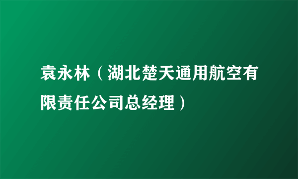 袁永林（湖北楚天通用航空有限责任公司总经理）