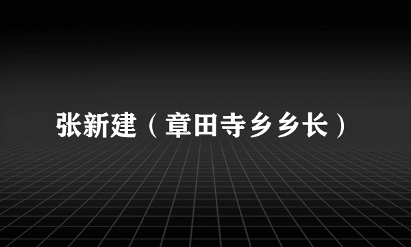 张新建（章田寺乡乡长）