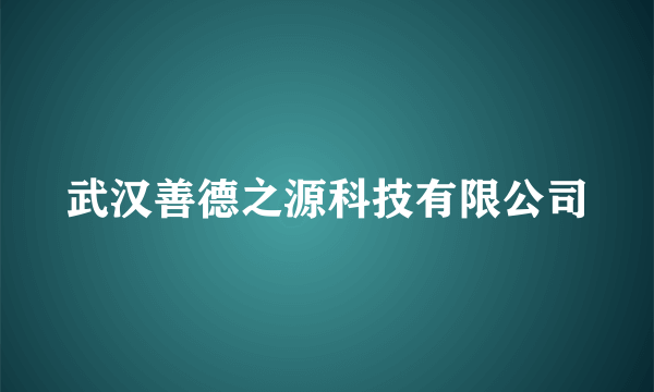 武汉善德之源科技有限公司