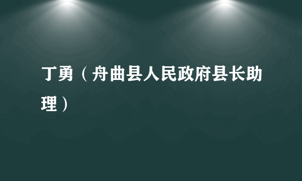 丁勇（舟曲县人民政府县长助理）