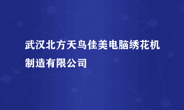 武汉北方天鸟佳美电脑绣花机制造有限公司