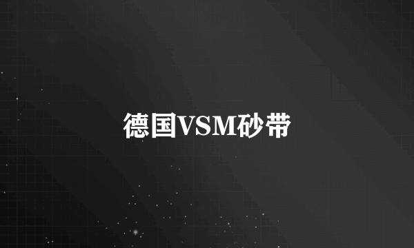 德国VSM砂带