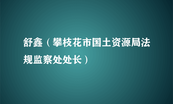 舒鑫（攀枝花市国土资源局法规监察处处长）