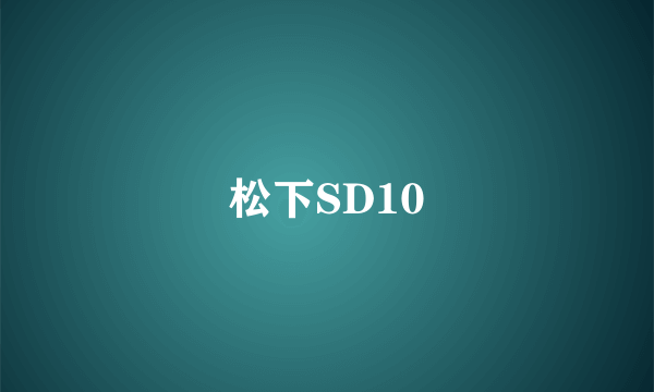 松下SD10